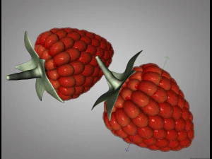 raspberry fruit 3D Model