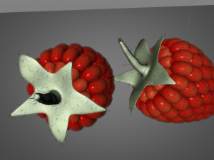 raspberry fruit Model 3D