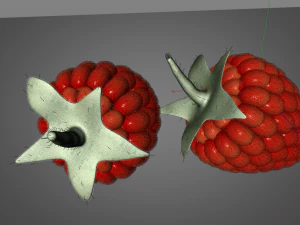 raspberry fruit 3D Model