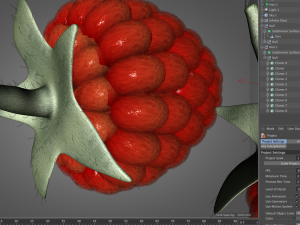 raspberry fruit Model 3D