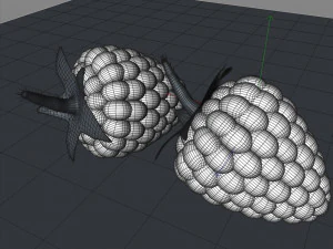 raspberry fruit 3D Model
