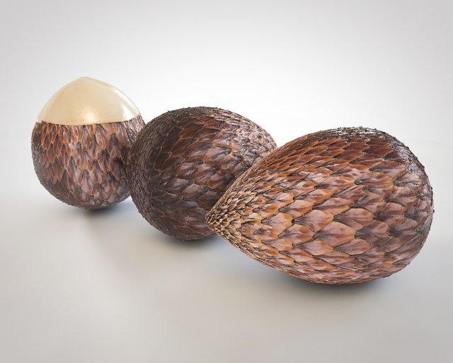 salak fruit 3D Model .c4d .max .obj .3ds .fbx .stl .blend 