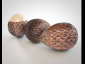 Salak Fruit 3D-Modell