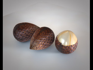 salak fruit 3D Model