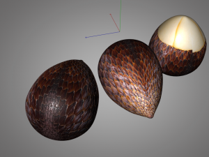 salak fruit 3D Model