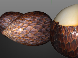 salak fruit 3D Model