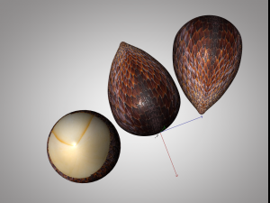 salak fruit 3D Model