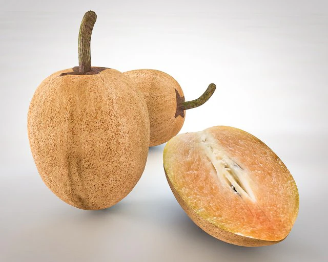 sapodilla fruit manilkara zapota chekoo 3D Model .c4d .max .obj .3ds .fbx .stl .blend