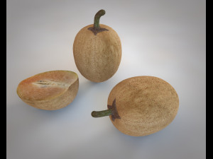 sapodilla fruit manilkara zapota chekoo Modello 3D