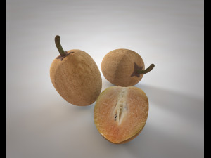 sapodilla fruit manilkara zapota chekoo Modello 3D