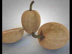 sapodilla fruit manilkara zapota chekoo 3D Model