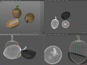 sapodilla fruit manilkara zapota chekoo 3D Model
