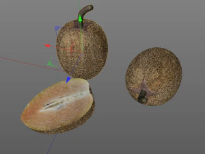 sapodilla fruit manilkara zapota chekoo 3D Model