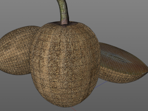 sapodilla fruit manilkara zapota chekoo Modello 3D