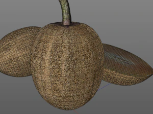 sapodilla fruit manilkara zapota chekoo 3D Model