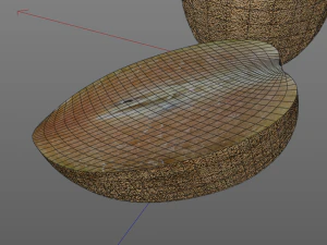 sapodilla fruit manilkara zapota chekoo 3D Model