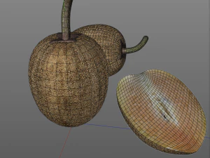 sapodilla fruit manilkara zapota chekoo 3D Model