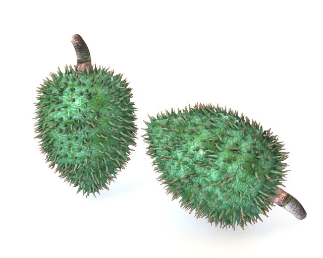 soursop fruit 3Dモデル .c4d .max .obj .3ds .fbx .stl .blend 