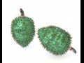 Soursop Fruit 3D-Modell