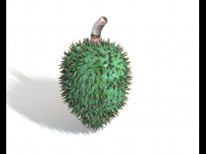soursop fruit 3Dモデル