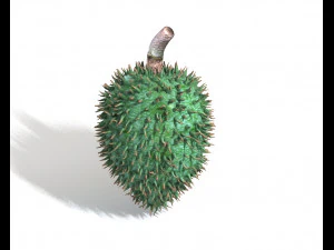 soursop fruit 3D Model