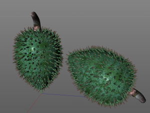 soursop fruit 3Dモデル