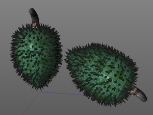 soursop fruit 3Dモデル