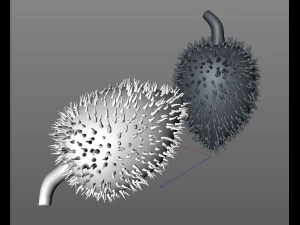 soursop fruit 3D Model