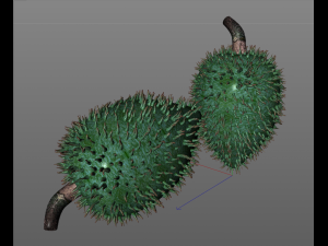 soursop fruit 3Dモデル