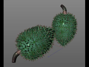 soursop fruit 3D Model