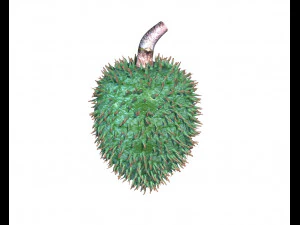 soursop fruit 3D Model
