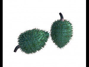 soursop fruit 3Dモデル