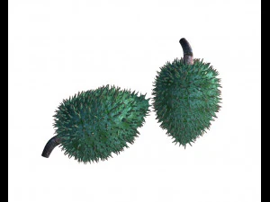 soursop fruit 3D Model