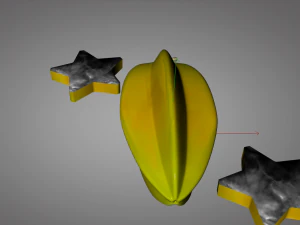 star fruit carambola 3D Model