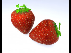 strawberry fruit 3D Model