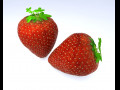 Strawberry Fruit 3D-Modell