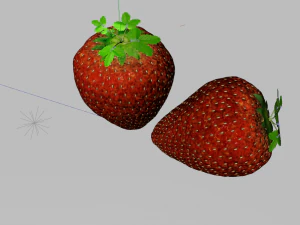 strawberry fruit 3D Model