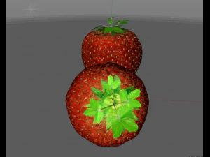 strawberry fruit 3D Model