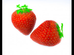 strawberry fruit 3D Model