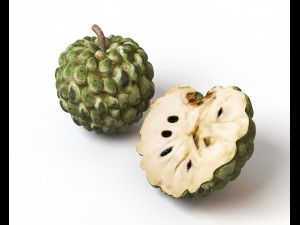 sugar apple annona fruit 3D Model