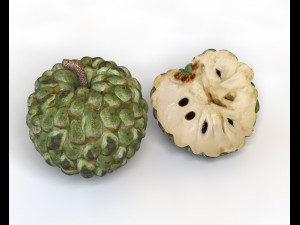 sugar apple annona fruit Model 3D