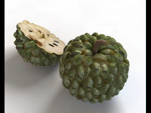 frutto dell'annona di mela zuccherata Modello 3D