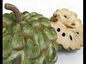 frutto dell'annona di mela zuccherata Modello 3D