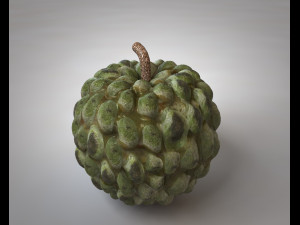 sugar apple annona fruit Model 3D