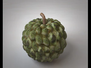 frutto dell'annona di mela zuccherata Modello 3D