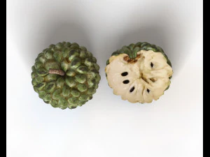 frutto dell'annona di mela zuccherata Modello 3D