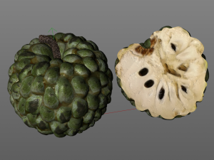sugar apple annona fruit Model 3D