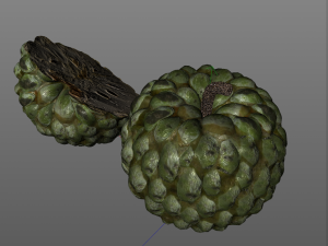 sugar apple annona fruit Model 3D