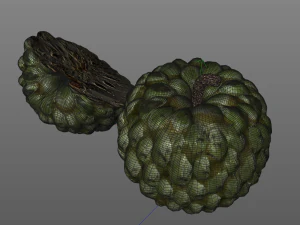 frutto dell'annona di mela zuccherata Modello 3D