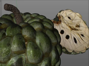 frutto dell'annona di mela zuccherata Modello 3D